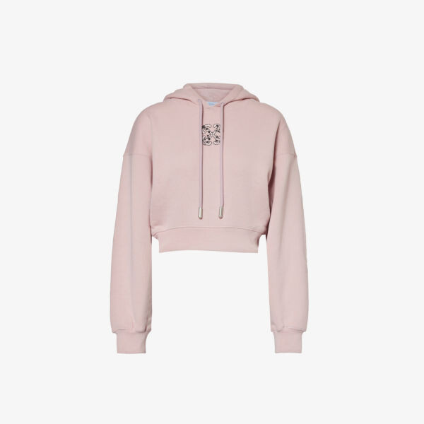 

Худи Bling Arrow с графичным принтом Off-White, цвет burnished