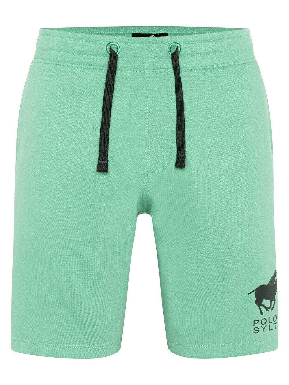 

Обычные брюки Polo Sylt, зеленый