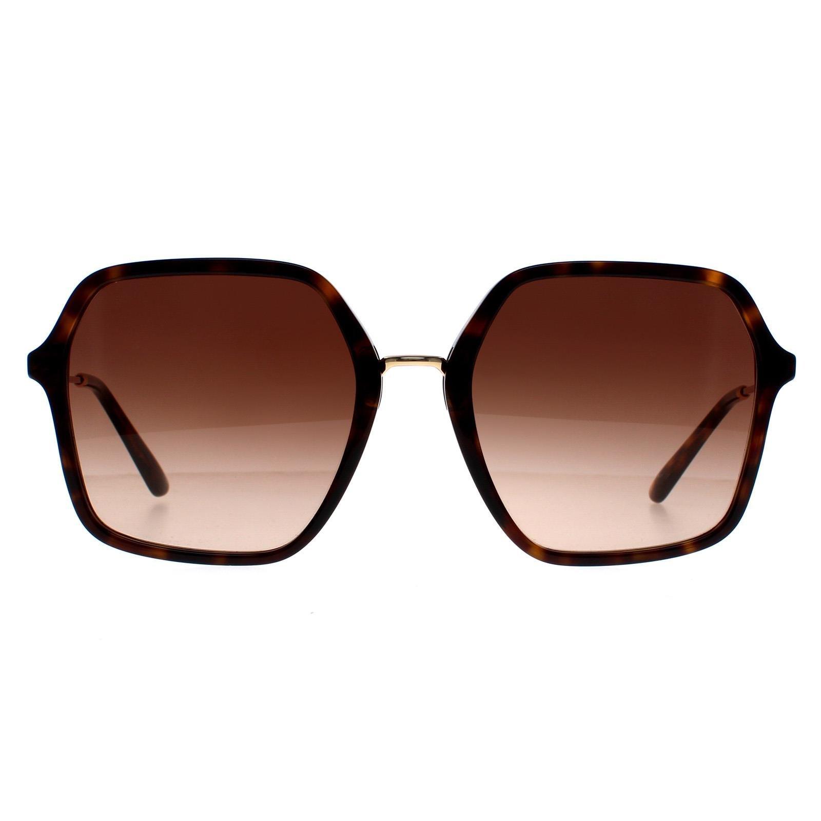 солнцезащитные очки dolce Квадратный Гавана Коричневый Градиент DG4422 Dolce & Gabbana, коричневый