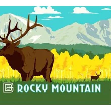 Носки Vision Six Impression National Park Swiftwick, цвет Rocky Mountains