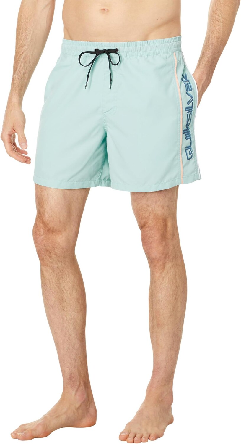 

Ежедневный верт 16 дюймов волейбол Quiksilver, цвет Blue Radiance