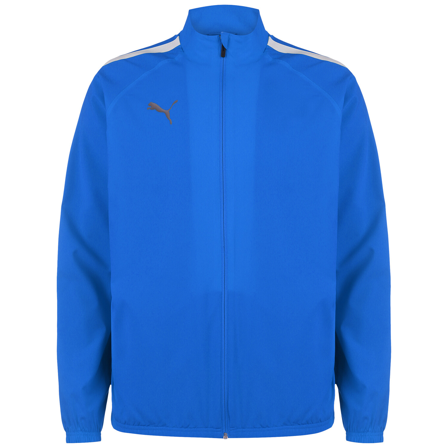 

Спортивная куртка Puma Funktionsjacke TeamLIGA Sideline, синий