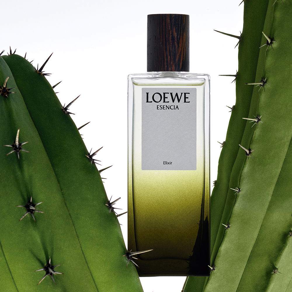 Духи Esencia elixir Loewe, 100 мл – заказать по доступной цене из-за рубежа  в «CDEK.Shopping»