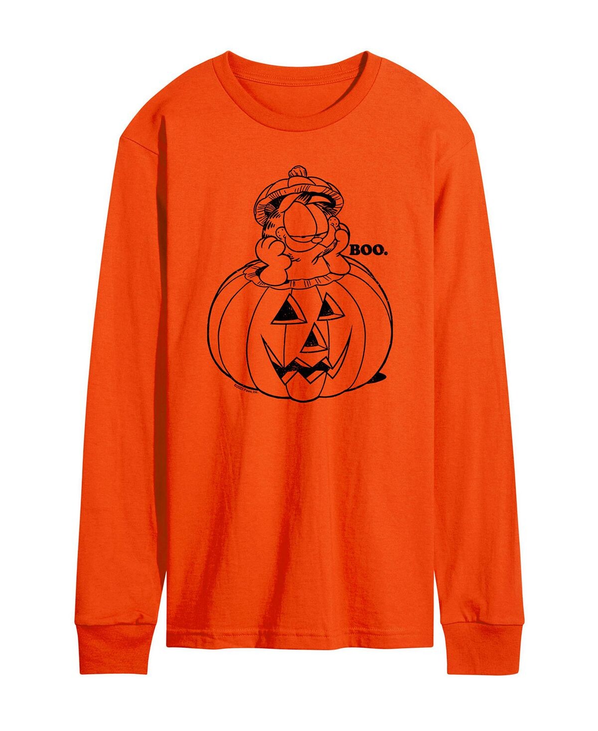 

Мужская футболка с длинным рукавом Garfield Pumpkin AIRWAVES