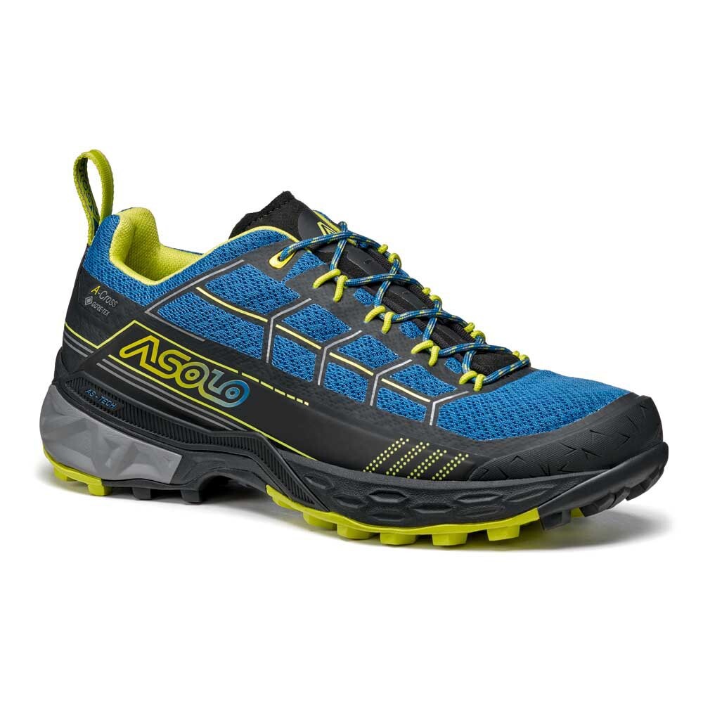 

Походная обувь Asolo Backbone Goretex, синий
