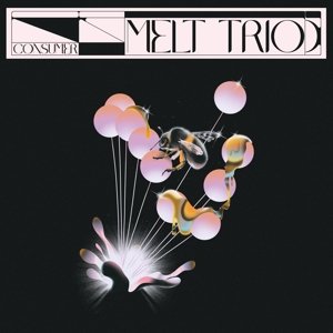 Виниловая пластинка Melt Trio - Consumer цена и фото
