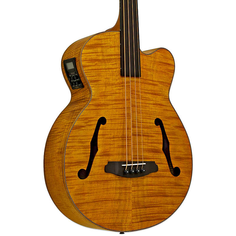 цена Басс гитара Aria FEB-F2/FL Full Scale Fretless Acoustic Electric Bass Stained Brown w/ Gig Bag