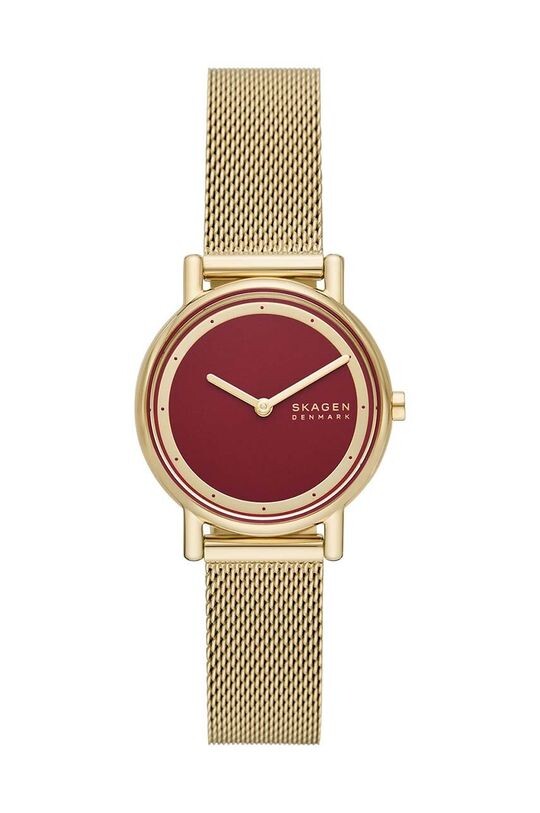 

Скагенские часы Skagen, золотой