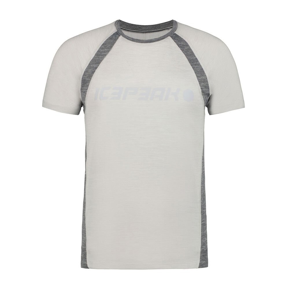 

Футболка Icepeak Destin, белый