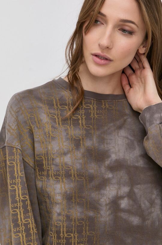

Хлопковая толстовка Pinko, коричневый