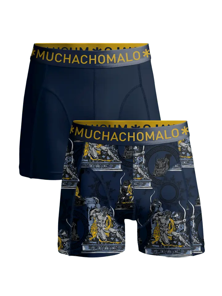 

Боксерские трусы Muchachomalo, цвет multicolor/blue