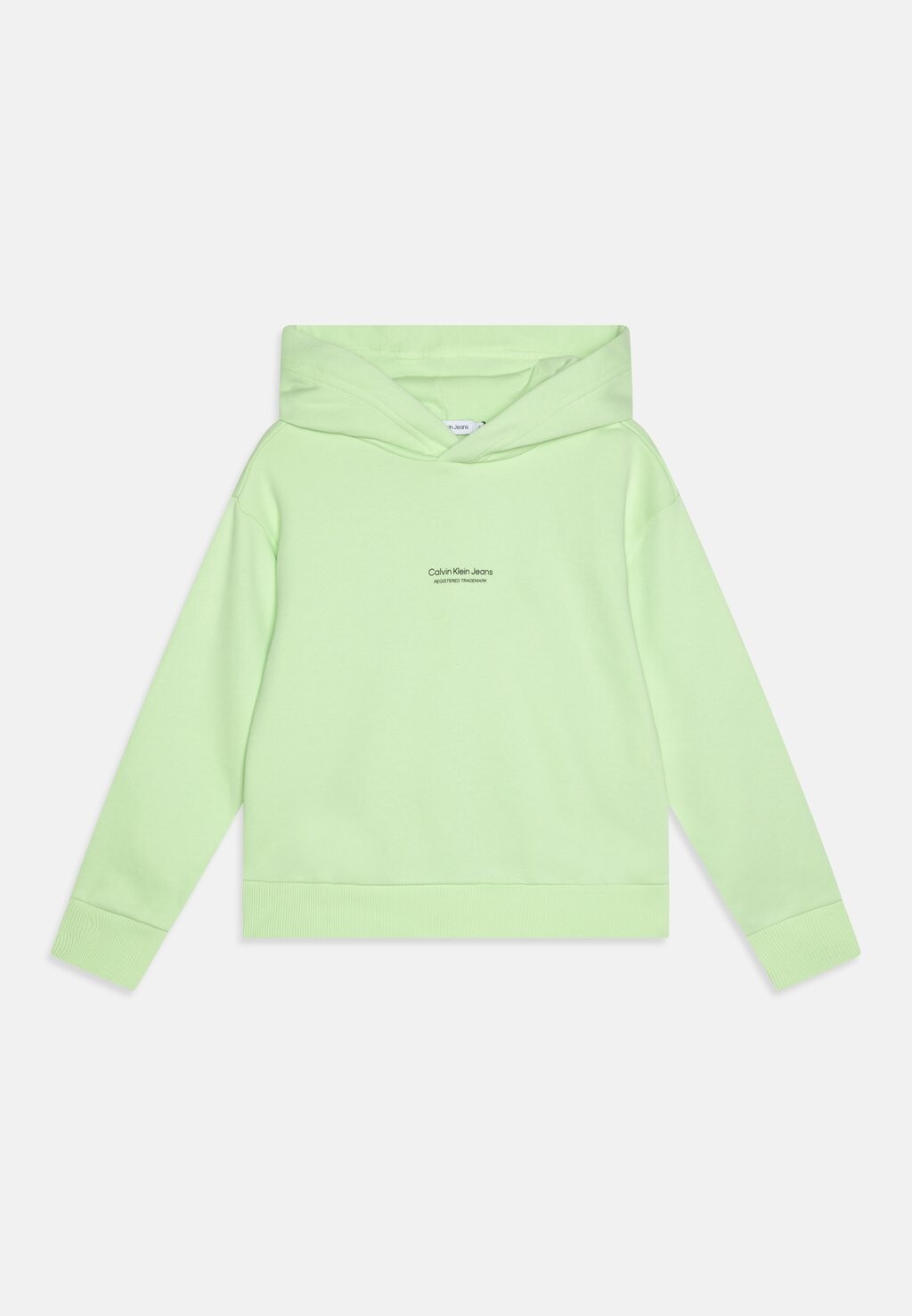 

Худи PIXEL LOGO RELAXED HOODIE Calvin Klein Jeans, цвет exotic mint