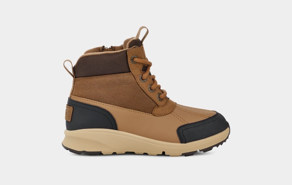 

Ботинки Emmett Duck Boot UGG, коричневый
