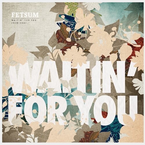 

Виниловая пластинка Fetsum - Waitin' For You