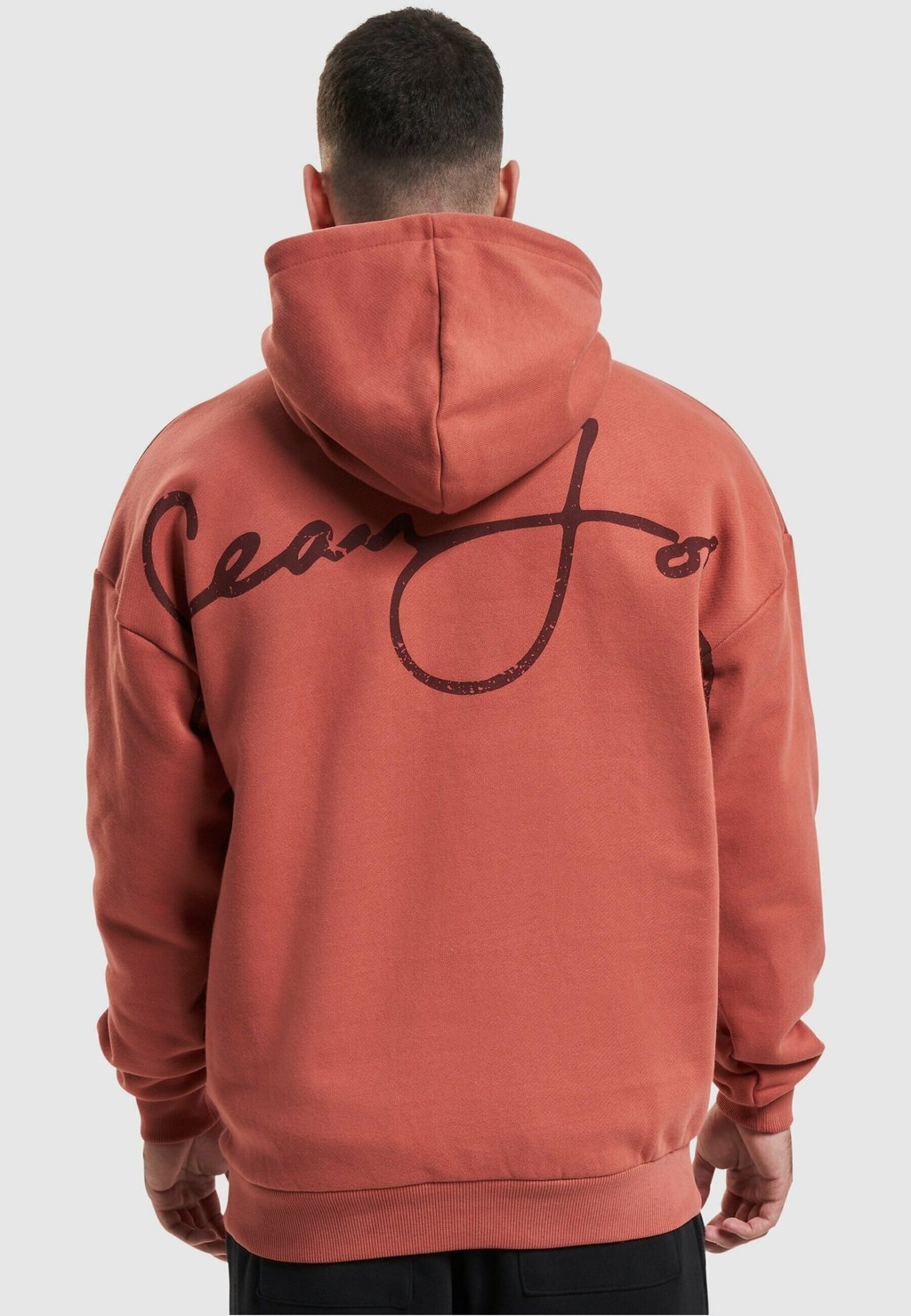 

Толстовка SCRIPT LOGO BACKPRINT PEACHED Sean John, цвет lightred