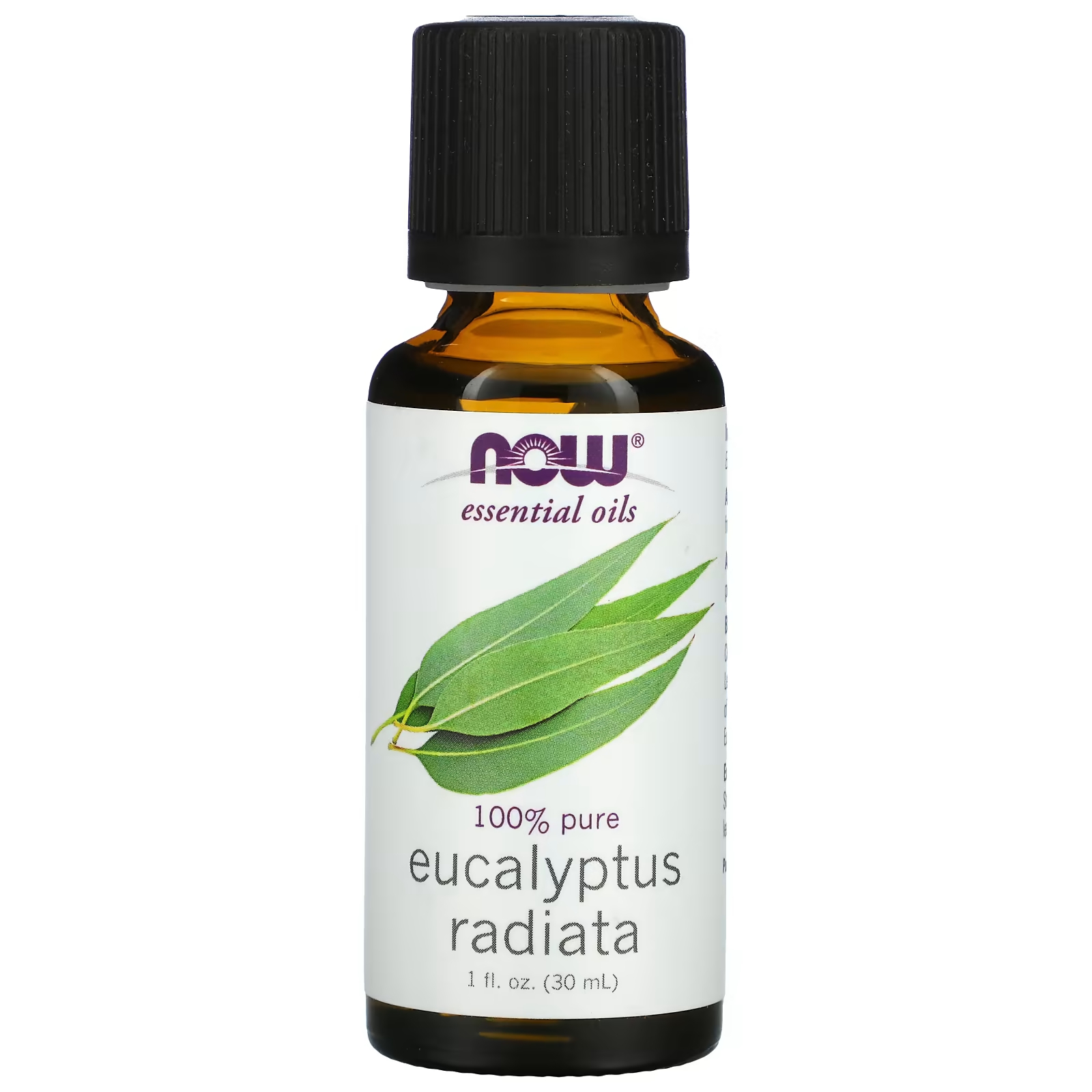 Эфирные масла NOW Foods Eucalyptus Radiata 1 жидкая унция. (30 мл)