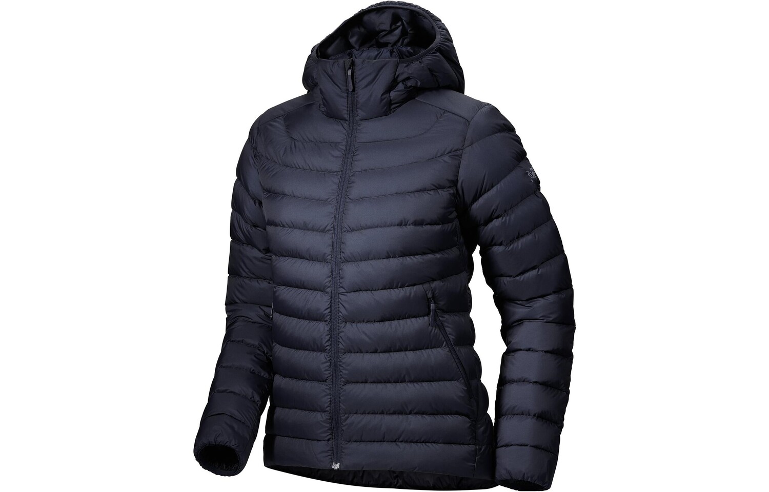 

Женская куртка Arcteryx, цвет Glissade
