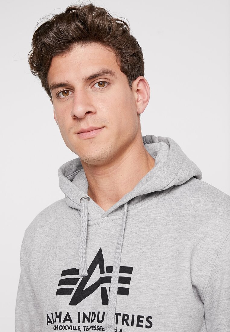 

Толстовка Basic Alpha Industries, серый