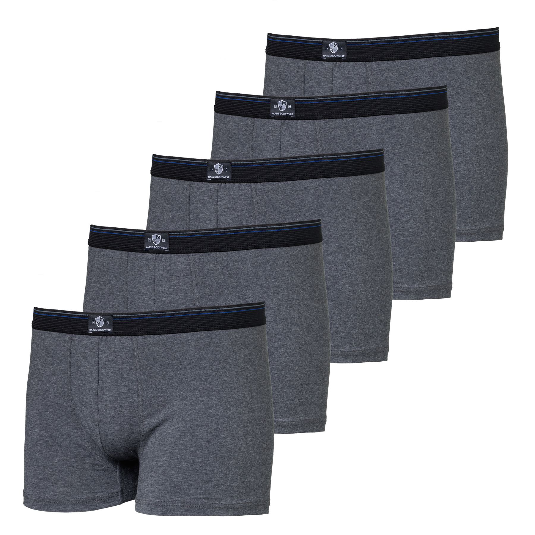 Боксеры Haasis Bodywear 5er-Set: Pants, цвет Carbon фото