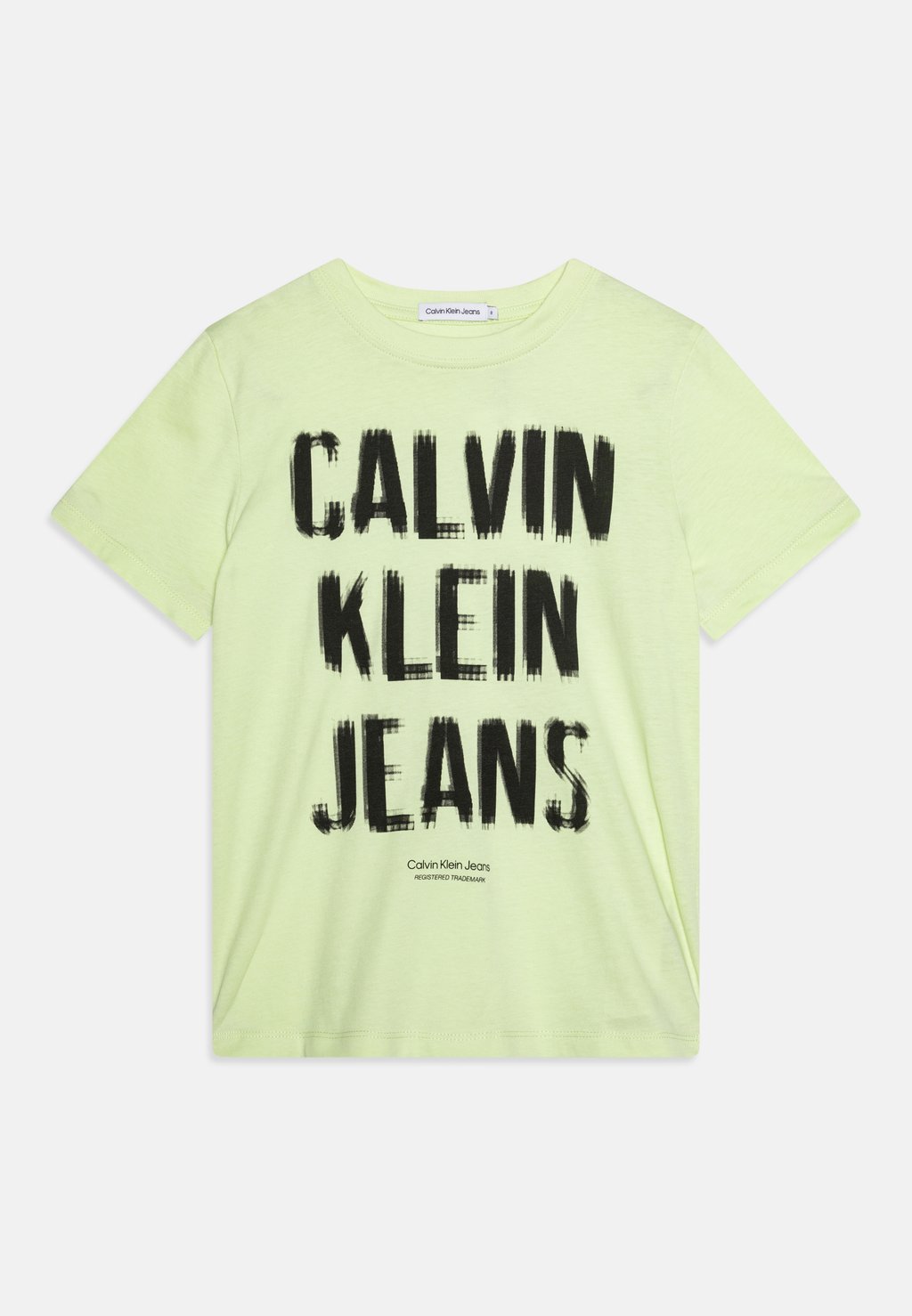 

Футболка с принтом PIXEL LOGO RELAXED Calvin Klein Jeans, цвет exotic mint