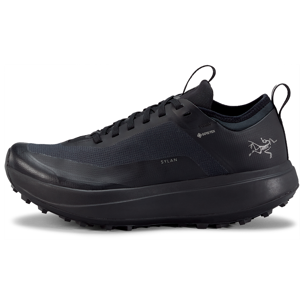 

Кроссовки для бега по пересеченной местности Arc'Teryx Women's Sylan GTX, цвет Black/Black