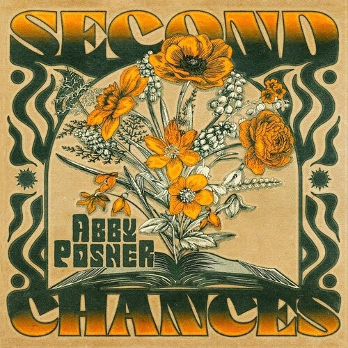 

Виниловая пластинка Posner, Abby: Second Chances