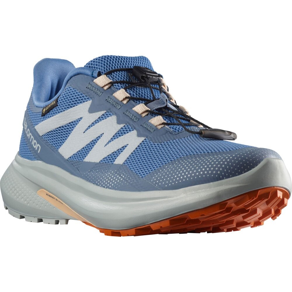

Кроссовки Salomon Hypulse Goretex Trail, синий