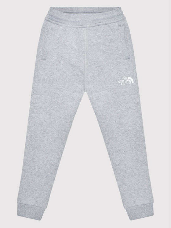 

Спортивные брюки стандартного кроя The North Face, серый