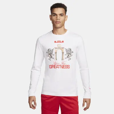 

Футболка Nike LeBron, белый
