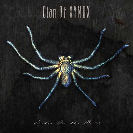 

Виниловая пластинка Clan of Xymox - Spider On The Wall