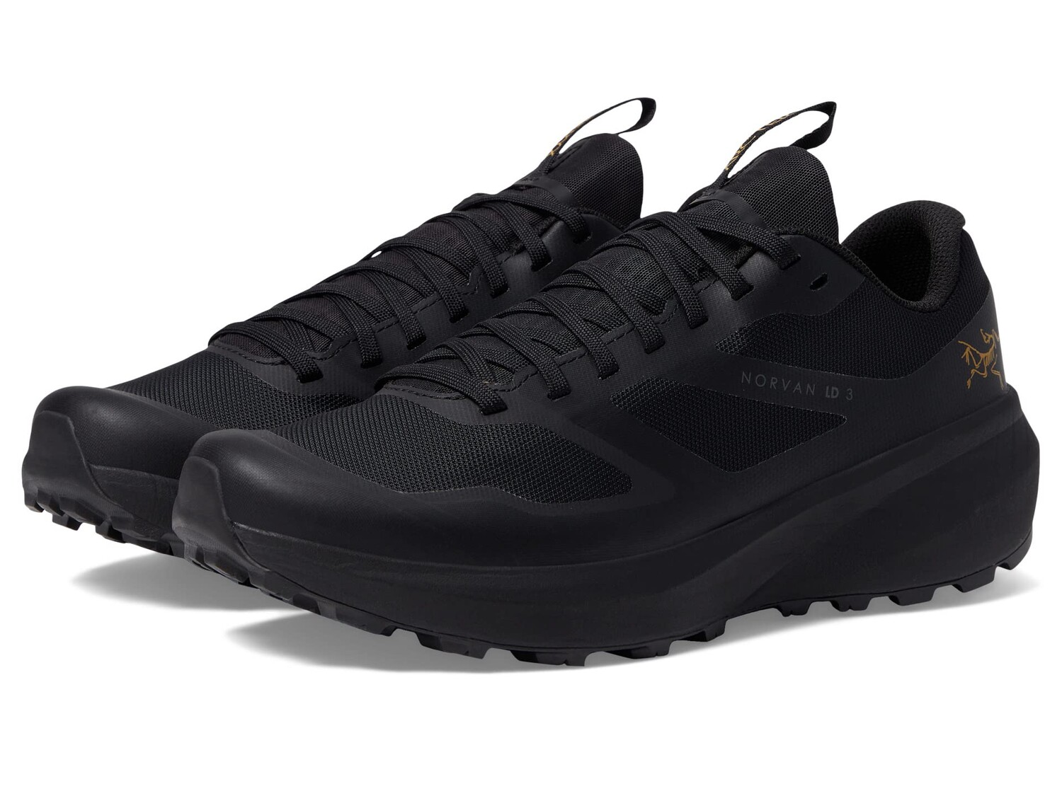 

Кроссовки Arc'teryx Norvan LD 3 GTX