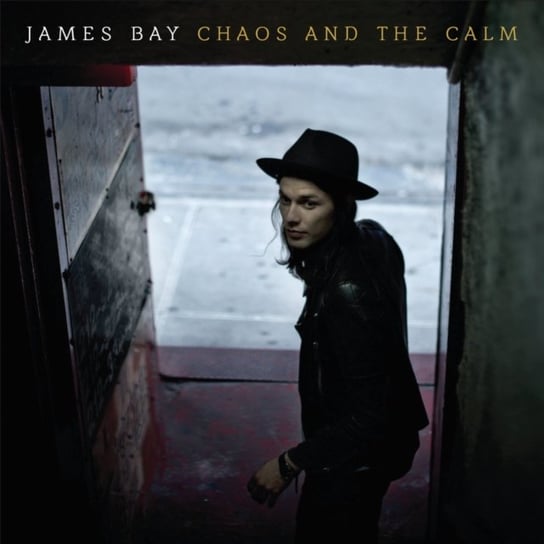 Виниловая пластинка Bay James - Chaos And The Calm gleick james chaos