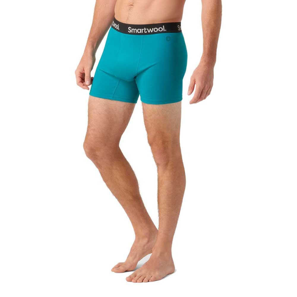 

Боксеры Smartwool Brief, синий