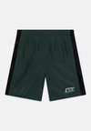 Спортивные шорты ACADEMY 23 BRANDED UNISEX Nike, темно-зеленый