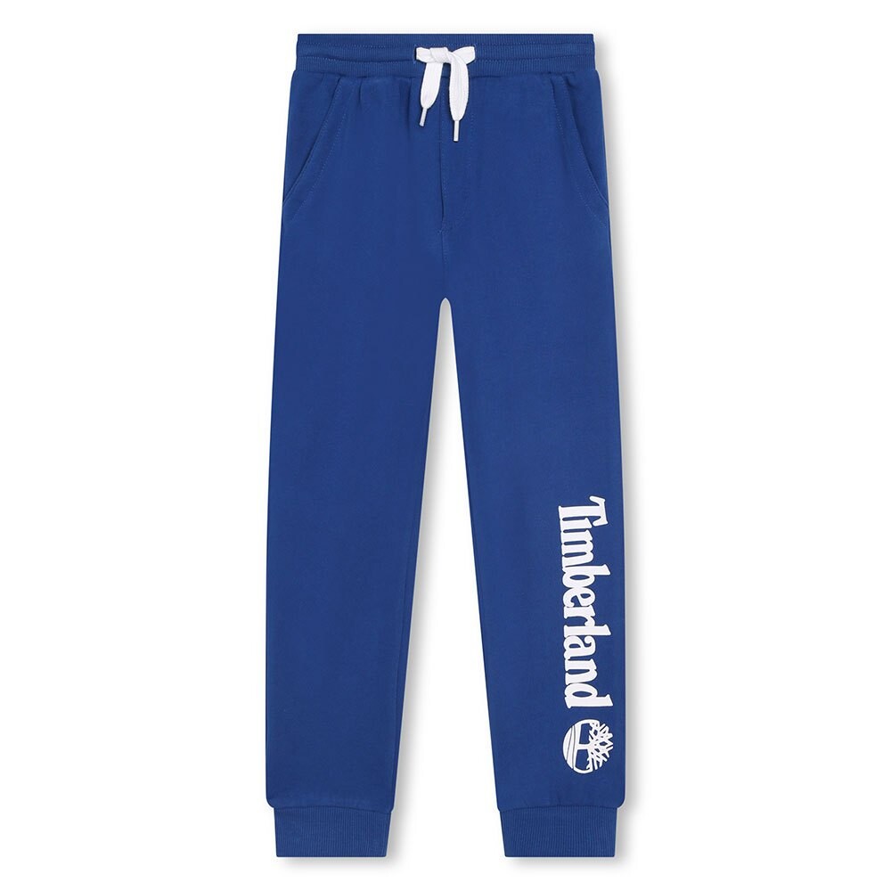 

Спортивные брюки Timberland T24C23, синий