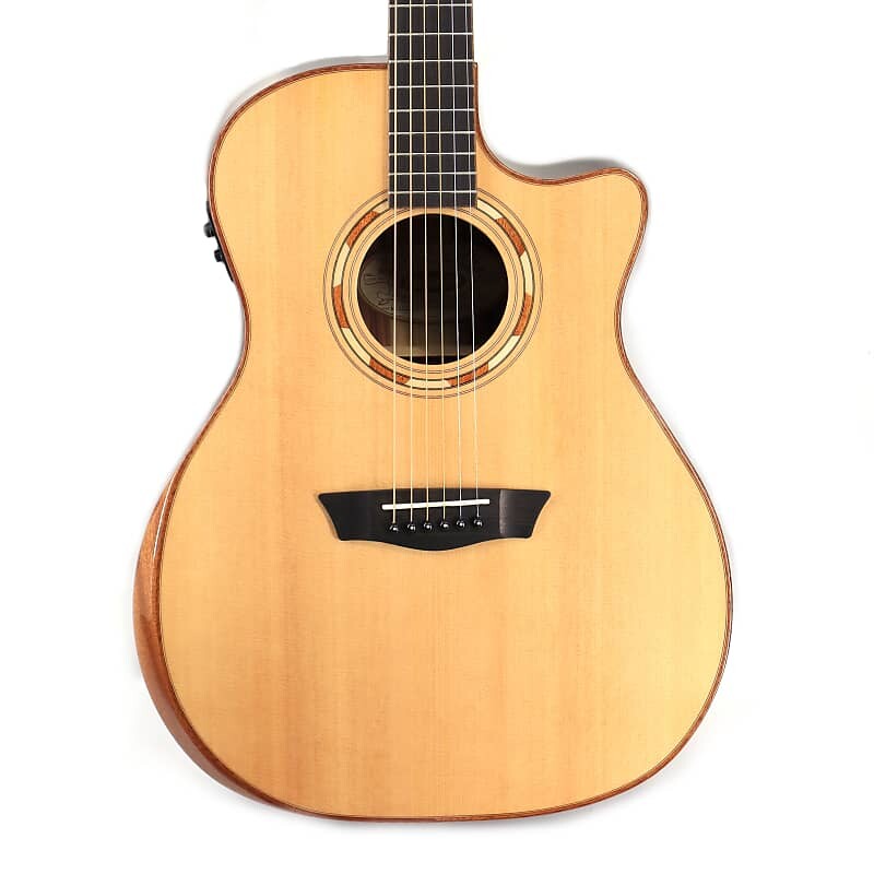 

Акустическая гитара Washburn Comfort 20 Standard