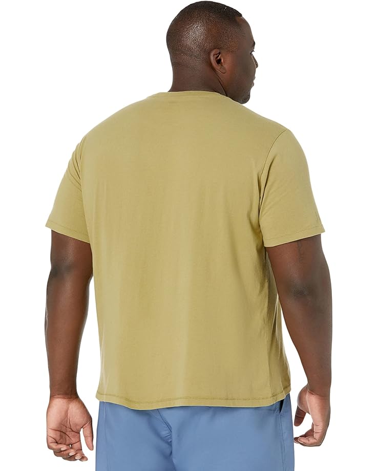 Футболка Levi's Premium Big & Tall Short Sleeve Relaxed Fit Tee, цвет Poster Logo Cedar