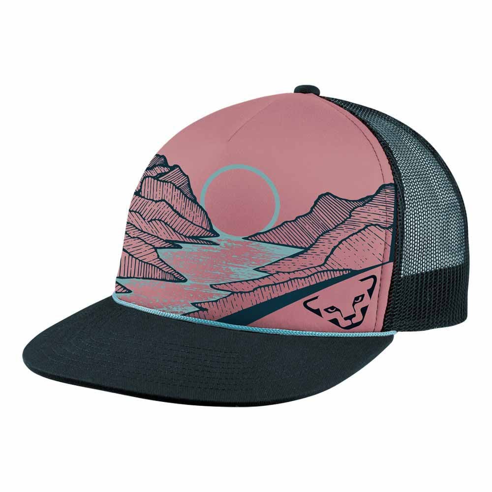 

Бейсболка Dynafit Graphic Trucker, розовый