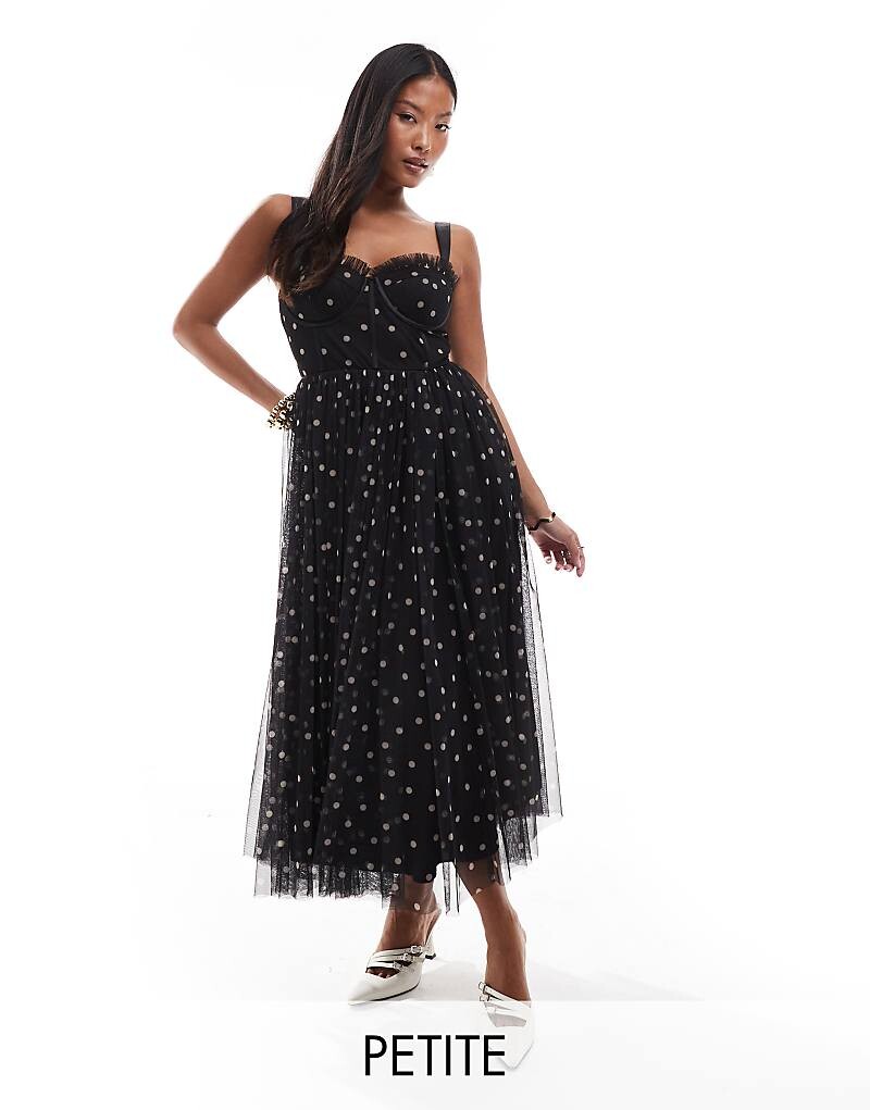 

Черное корсетное платье миди в горошек Lace & Beads Petite