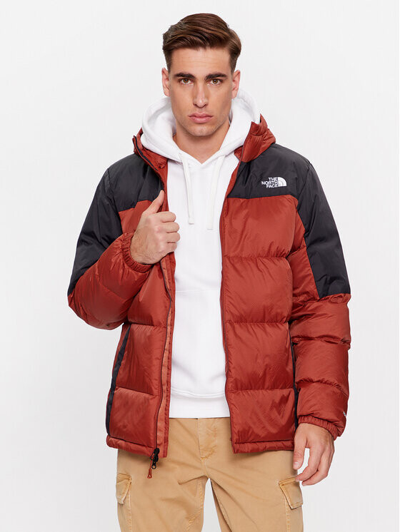 

Пуховик стандартного кроя The North Face, коричневый