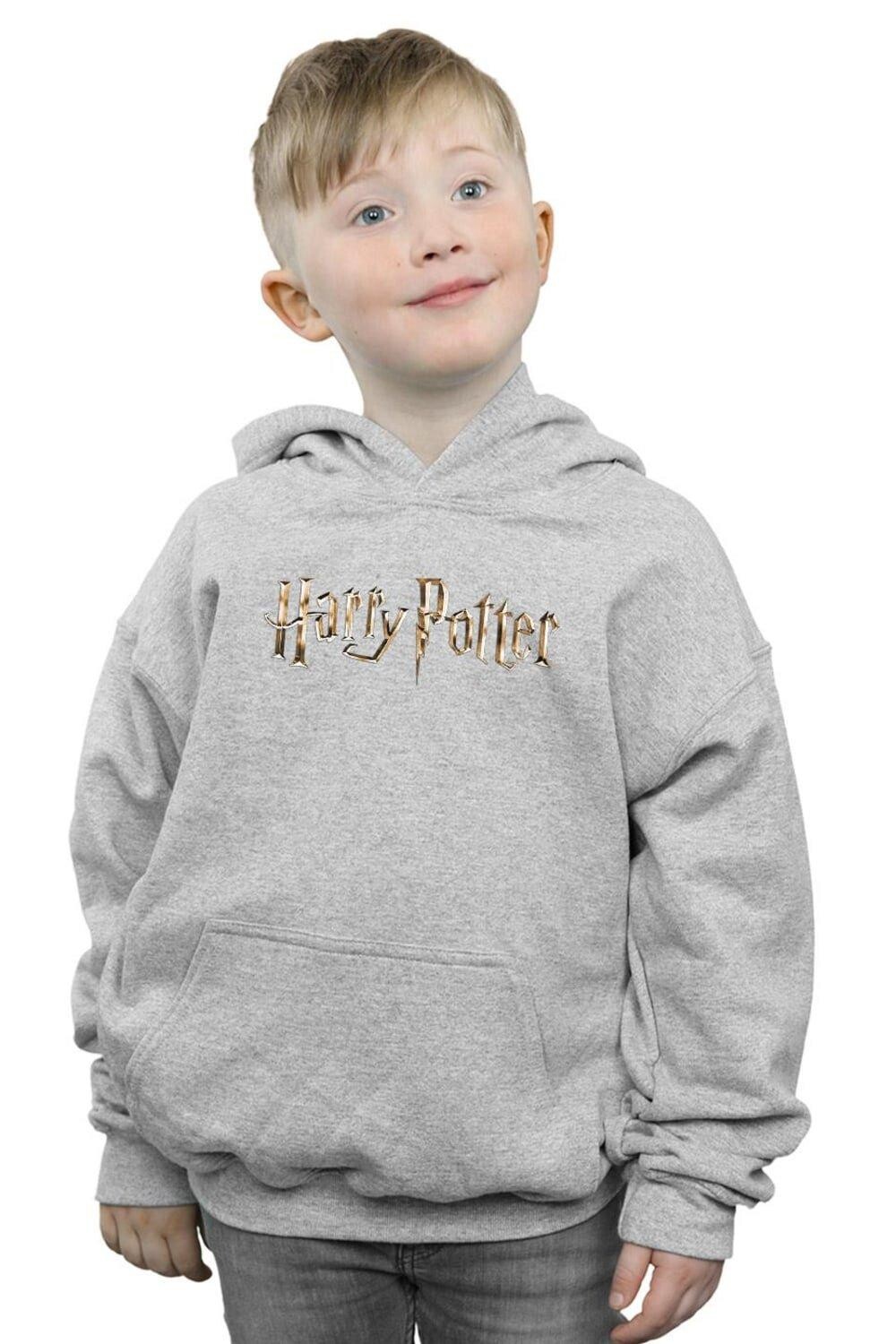 

Толстовка с полноцветным логотипом Harry Potter, серый
