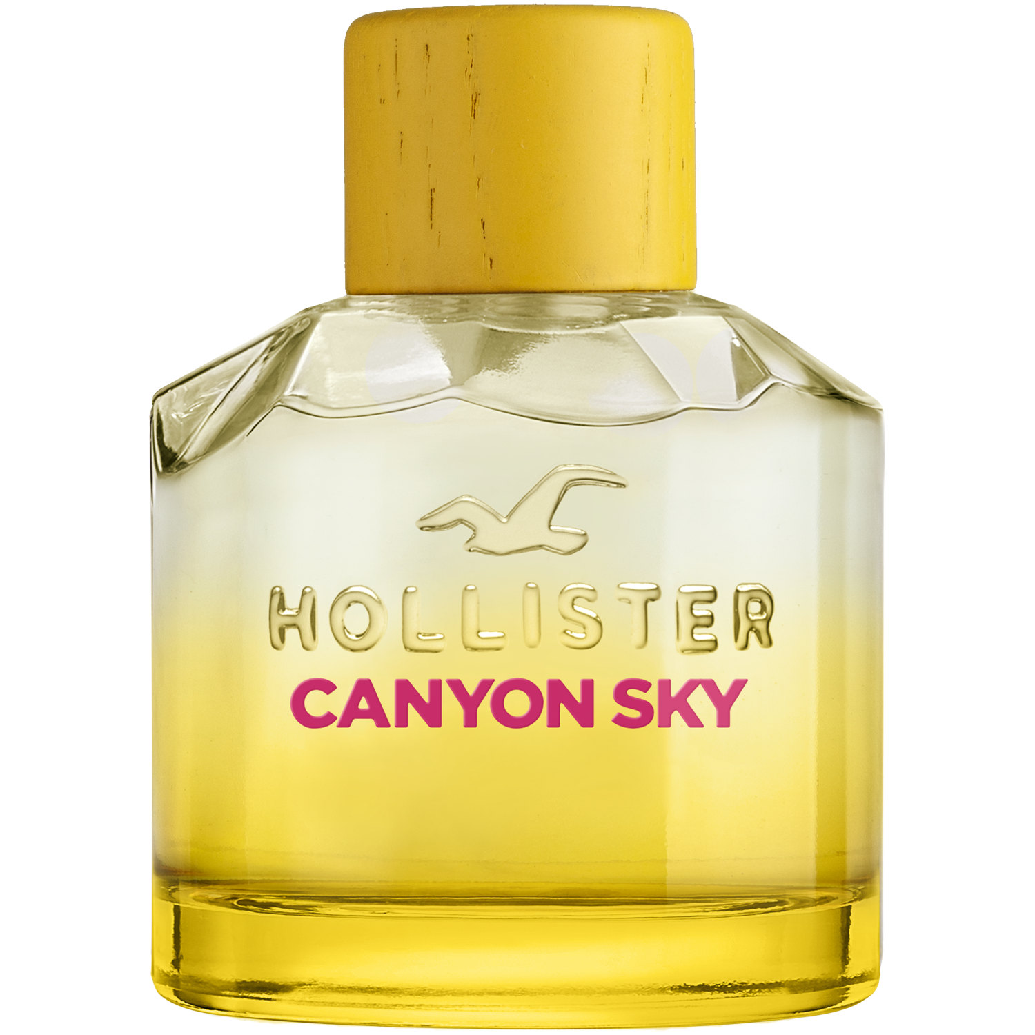 Женская парфюмированная вода Hollister Canyon Sky, 100 мл
