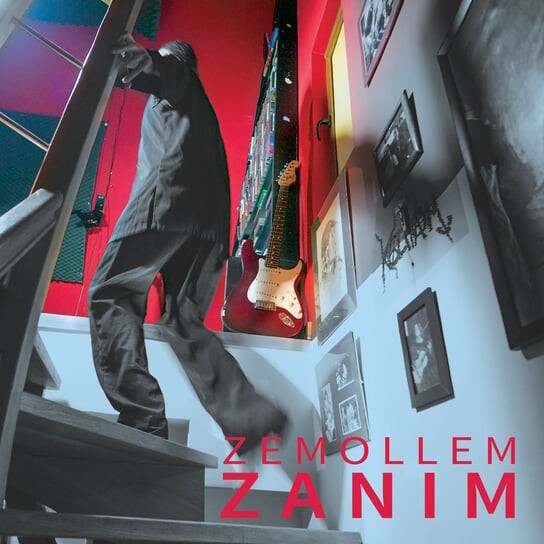 

Виниловая пластинка Zemollem - Zanim