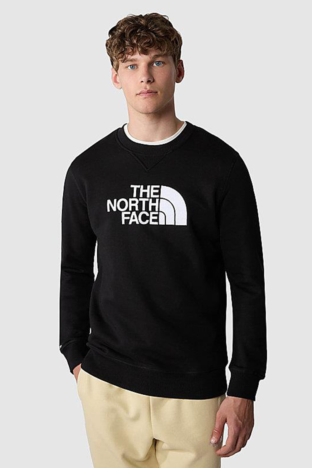 

Толстовка - Черный - Классический крой THE NORTH FACE, черный
