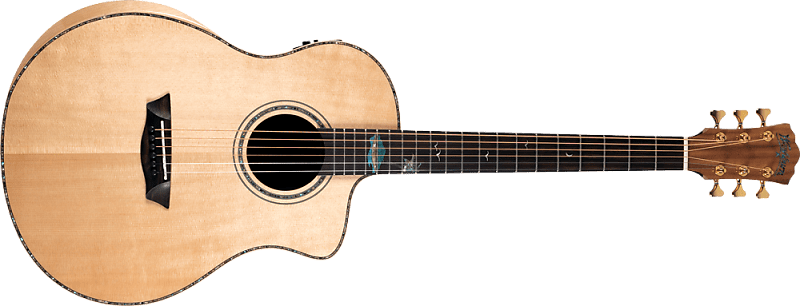Акустическая гитара Washburn Bella Tono Studio 56 CE шестерня мясорубки d 85 12мм z 56 прямой