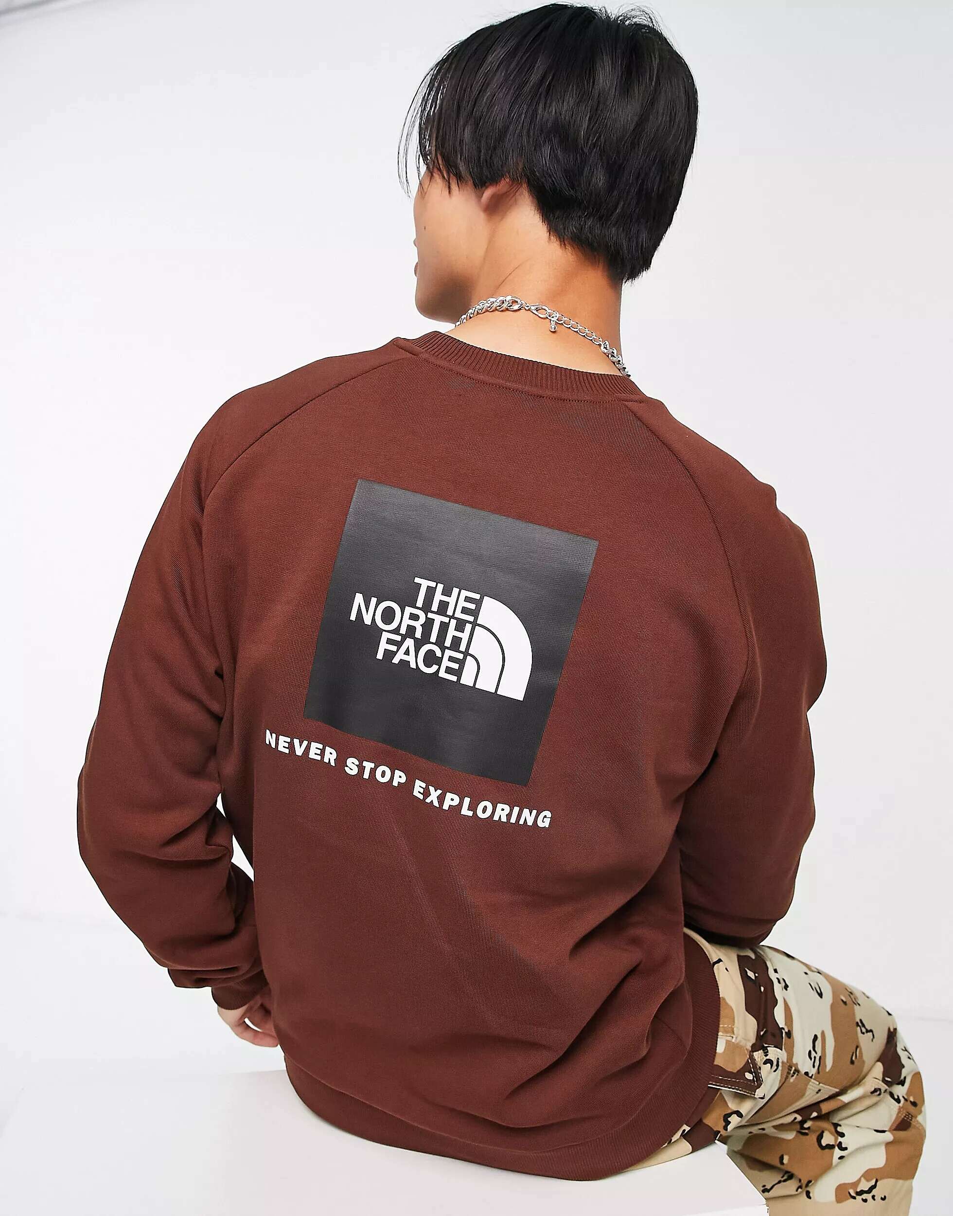 

Коричневый свитшот The North Face Raglan Redbox