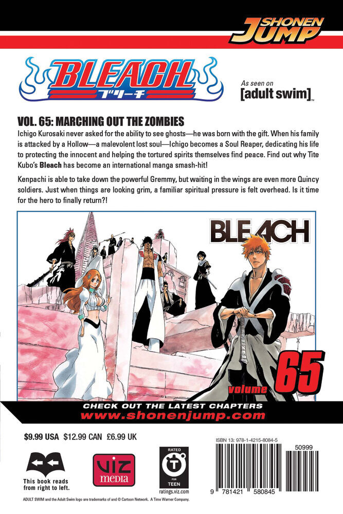 

Манга BLEACH Manga Volume 65
