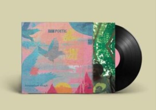 

Виниловая пластинка Raw Poetic & Damu The Fudgemunk - Laminated Skies