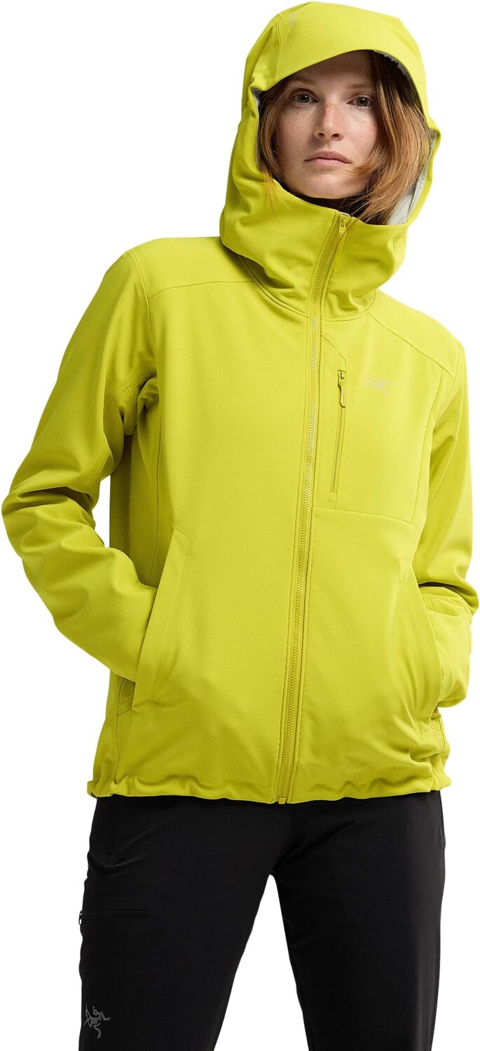 

Толстовка Gamma Heavyweight Hoody Arc'teryx, цвет Lampyre