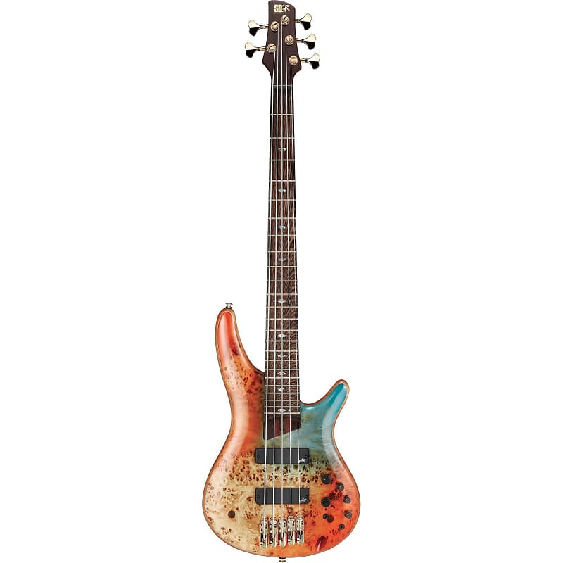 

Басс гитара Ibanez 2021 SR1605DW Premium 5-String Bass Guitar - Autumn Sunset Sky